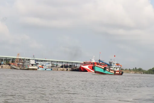 TP Cần Thơ chuẩn bị sẵn sàng các địa điểm cho tàu neo đậu, tránh trú bão an toàn
