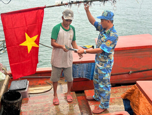 Ca Mau enforces crackdown on IUU fishing to save seafood trade