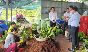 Phó Bí thư Thành ủy Trần Văn Huyến làm việc với xã Đại Ngãi và xã Nhơn Mỹ