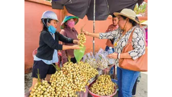 Mùa dâu Hạ Châu