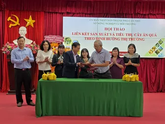 Tăng cường liên kết sản xuất và tiêu thụ trái cây