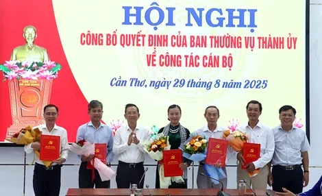 Thành ủy Cần Thơ trao quyết định nghỉ hưu trước tuổi và thôi việc cho cán bộ