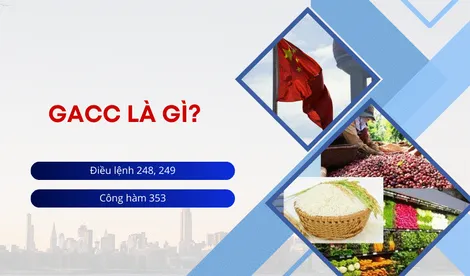 Đăng ký mã GACC - mã số xuất khẩu thực phẩm sang Trung Quốc theo lệnh 248