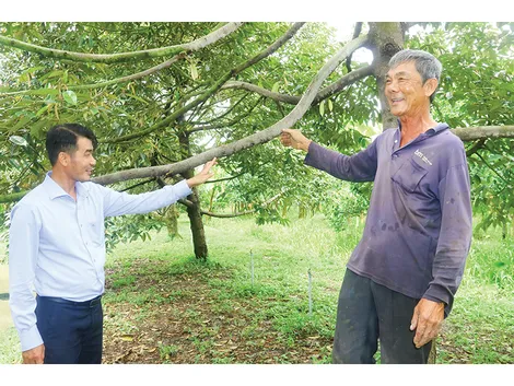 Nông dân chung tay làm giàu