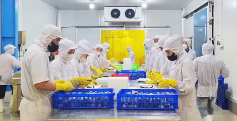 Tăng cường công tác quản lý tiêu chuẩn đo lường chất lượng, nâng cao chất lượng sản phẩm, hàng hóa