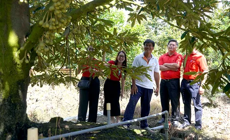 Agribank Vĩnh Long tiếp sức cho nông nghiệp bền vững