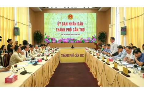 Tập trung tháo gỡ khó khăn, đưa Trường Đại học Nam Cần Thơ phát triển