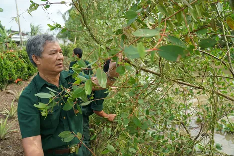 Cựu chiến binh xã Trường Thành làm theo lời Bác