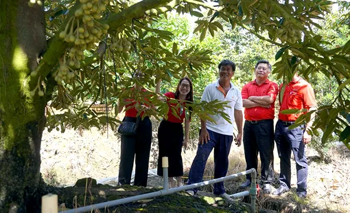 Agribank Vĩnh Long tiếp sức cho nông nghiệp bền vững