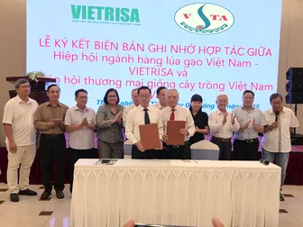 Bàn giải pháp nâng cao chất lượng lúa và lúa giống