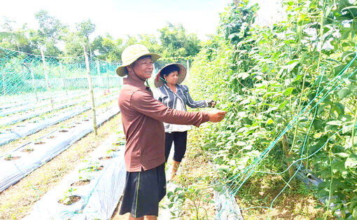 ប្រ​សិទ្ធ​ភាព​ផ្តើម​ពី​មូល​និធិ​ជំ​នួយ​កសិករ