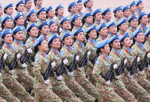 Decree regulates establishment, use of fund for defence policy and foreign affairs