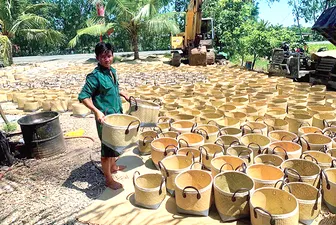 Giữ nghề đan cỏ bàng ở An Giang