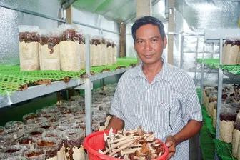 "Điểm tựa" giúp nhiều hộ dân thoát nghèo bền vững