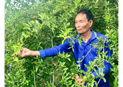 Cựu chiến binh làm kinh tế giỏi