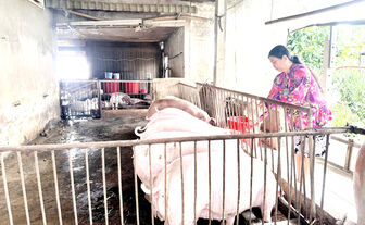 ឈាន​ឡើង​លំ​នឹង​ជីវ​ភាព​ អា​ស្រ័យ​ប្រ​ភព​ទុន​ពី​ធនា គារ​គោល នយោ​បាយ​សង្គម​