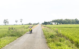 ញ៉ូ​យ៉ា​នា​ពេល​បច្ចុប្បន្ន​