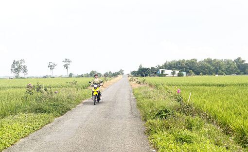 ញ៉ូ​យ៉ា​នា​ពេល​បច្ចុប្បន្ន​