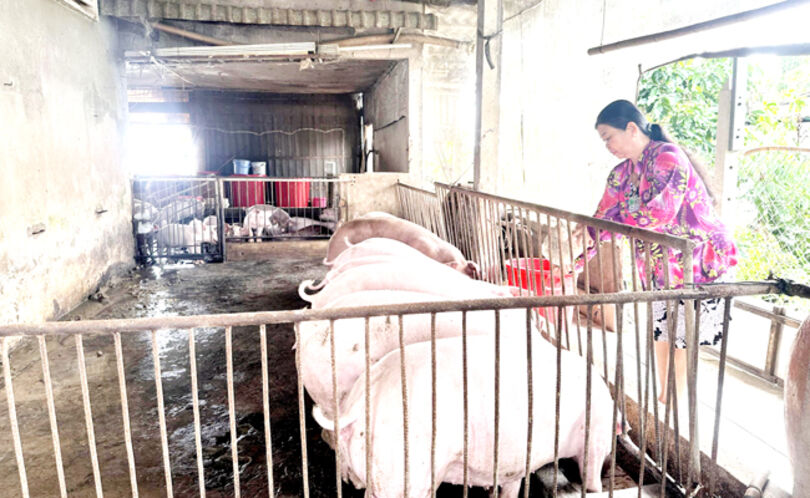 ឈាន​ឡើង​លំ​នឹង​ជីវ​ភាព​ អា​ស្រ័យ​ប្រ​ភព​ទុន​ពី​ធនាគារ​គោលនយោ​បាយ​សង្គម​