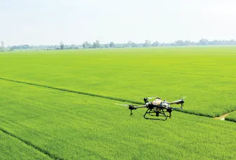 Nhiều giải pháp hỗ trợ sản xuất lúa an toàn, hiệu quả