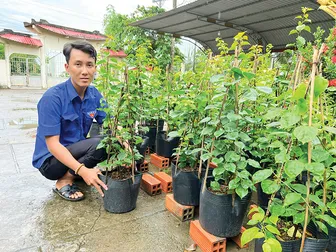 Khởi nghiệp thành công với mô hình trồng hoa kiểng