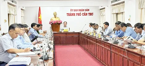 Rà soát phương án thiết kế các dự án khu tái định cư