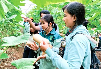 Cần Thơ tập trung phát triển du lịch xanh