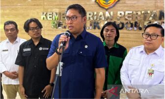 Indonesia's rice imports limited to specialty dining needs