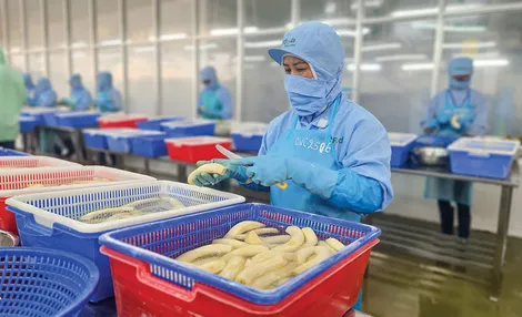 Kim ngạch xuất khẩu hàng hóa đạt gần 306 tỉ USD