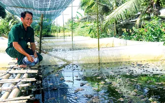 Nuôi ếch kết hợp cá thát lát - nguồn lợi bền vững