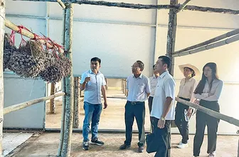 Nâng cao hiệu quả sản xuất và thu nhập cho hội viên nông dân