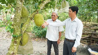 Đưa Vĩnh Trinh vươn mình bứt phá