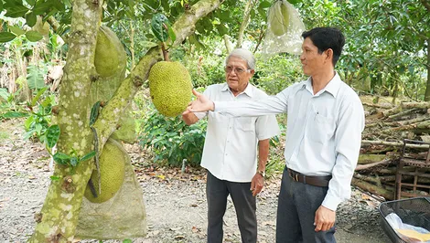 Đưa Vĩnh Trinh vươn mình bứt phá