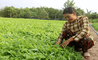 ក្តី​រីក​រាយ​ពី​កម្ម​វិធី