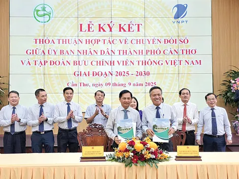 Hợp tác đẩy mạnh chuyển đổi số