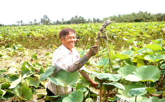ធ្វើ​មាន​ផ្តើម​ពី​ការ​ដាំ​ឈូក​យក​មើម