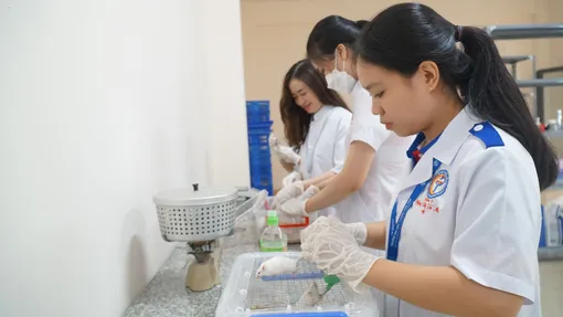 Trường Đại học Y Dược Cần Thơ tuyển sinh bổ sung đại học hệ chính quy năm 2025 Trường Đại học Y Dược Cần Thơ tuyển sinh bổ sung đại học hệ chính quy năm 2025