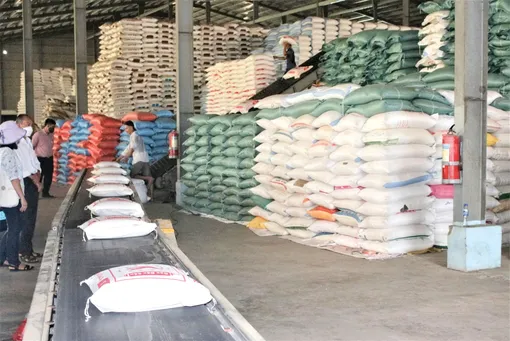 Giải pháp an toàn sản xuất, nâng cao giá trị gạo xuất khẩu