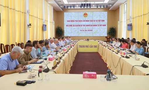Lãnh đạo thành phố tiếp Phái đoàn Liên minh châu Âu tại Việt Nam