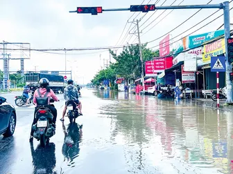 Chi hỗ trợ cá nhân, tổ chức cung cấp thông tin phản ánh hành vi vi phạm hành chính về trật tự, an toàn giao thông