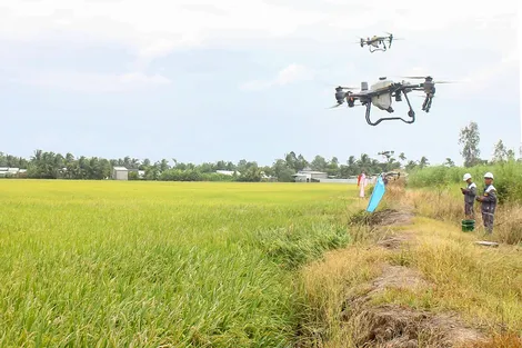 Ra mắt mô hình cung ứng dịch vụ cơ giới hóa trong nông nghiệp