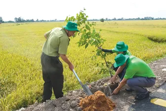 Cần Thơ trồng hơn 3,2 triệu cây xanh