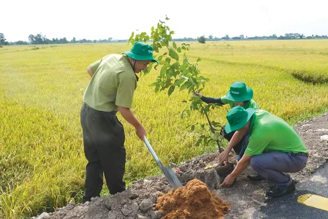 Cần Thơ trồng hơn 3,2 triệu cây xanh