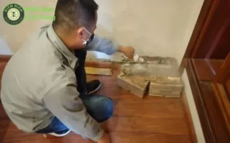 Dịch vụ diệt mối tận gốc an toàn tại nhà - Kiểm Dịch Hà Nội
