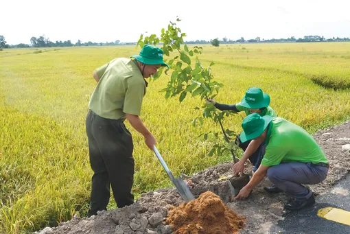 Cần Thơ trồng hơn 3,2 triệu cây xanh