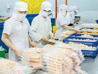 Thúc đẩy hợp tác xã thương mại - dịch vụ tăng hiệu quả kinh doanh qua các nền tảng số