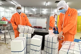 Hỗ trợ doanh nghiệp đa dạng hóa chuỗi cung ứng, chinh phục thị trường xuất nhập khẩu