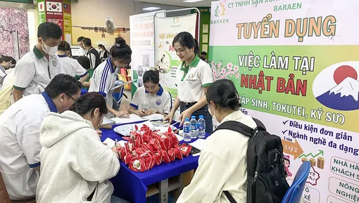 Trên 30.500 vị trí việc làm cần tuyển