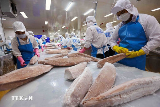 Vietnam’s aquatic exports surge toward 10 bln USD amid trade hurdles
