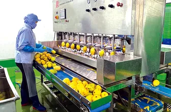 Thu hút đầu tư: Động lực thúc đẩy tăng trưởng kinh tế